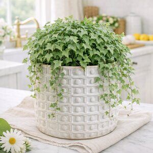 New Ceramic Textured Beaded Flower Herbs Planter Pot With Wood Stand